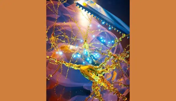 Nanoscale Chips Bring Hope for Alzheimer’s