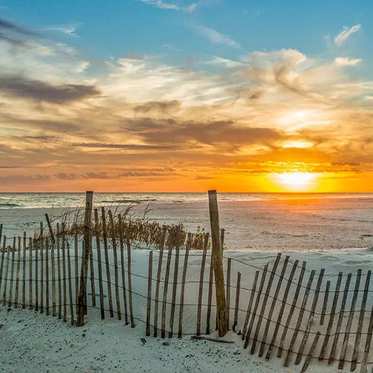 Beach dune scene at sunset in gulf coast florida | Support the Technion University | American Technion Society | How to Support Israel