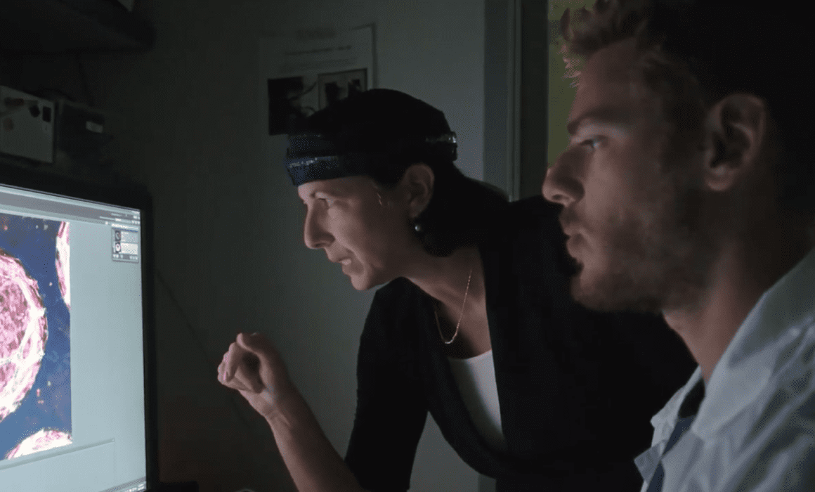 Feeding the Future Technion Prof. Shulamit Levenberg and Aleph Farms