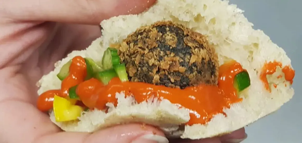 Algalafel, algae falafel from the Technion.