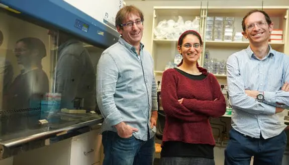 Technion Professors: The Best & Brightest