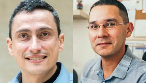 Food for Thought: Sustainable, Nutritious, and Plentiful Foods