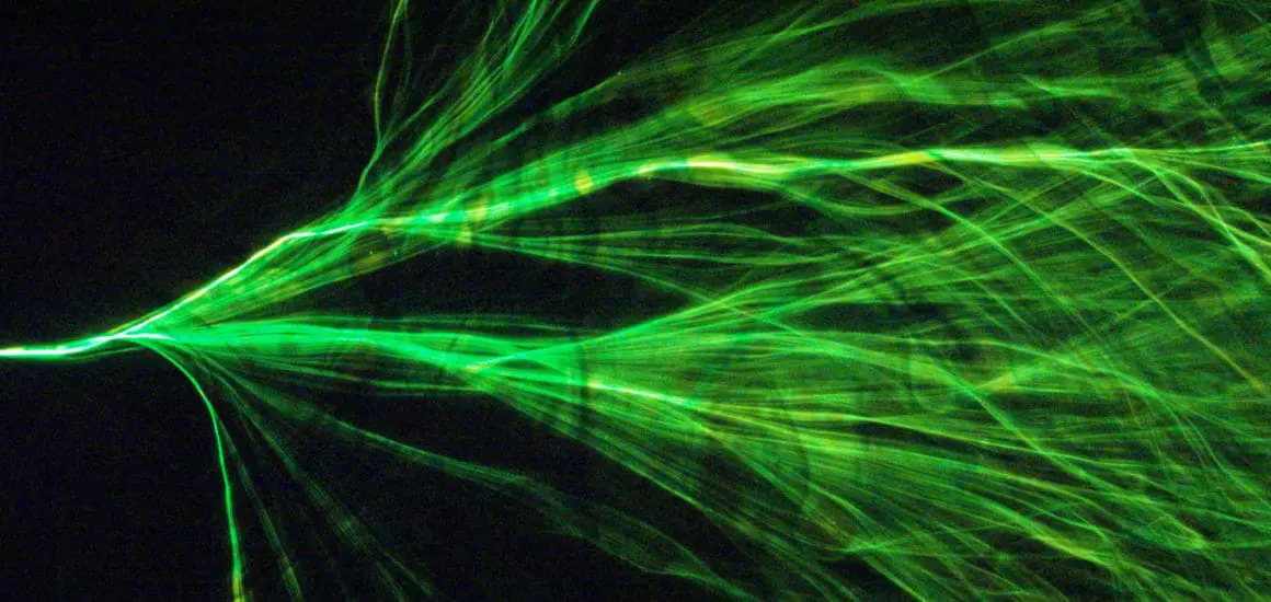 branched flow of light | Donate to Support the Technion University | American Technion Society