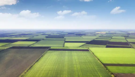 Wind Tunnel Takes on Crop Efficiency