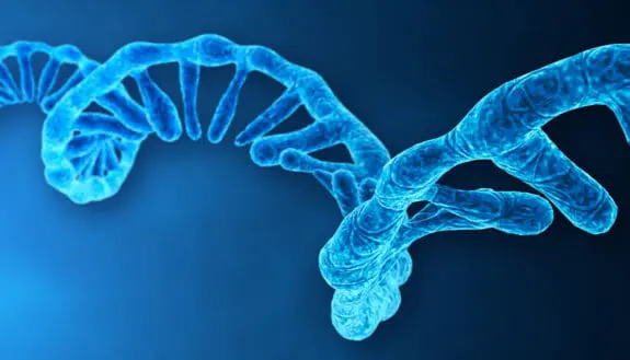 mRNA: More Than Just a Messenger