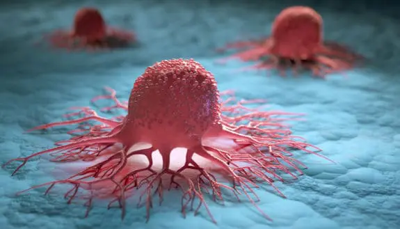 One Cycle, Two Paths, and a Cancer Breakthrough