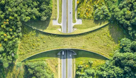 Dedicated Wildlife Crossings Are Here