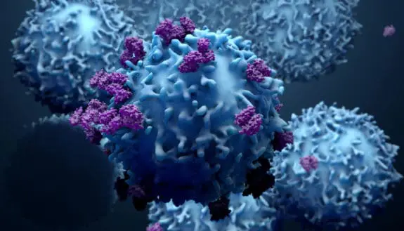 Cell Aging – Reversed?