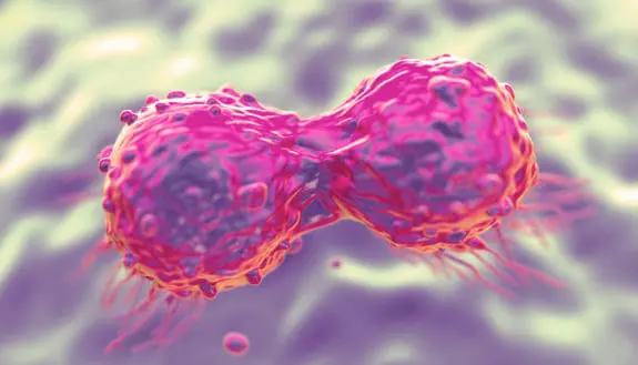 Nervous System Holds Key to Beating Cancer