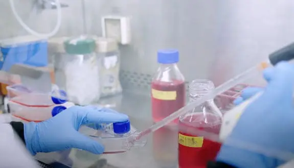 WATCH: Research in Biotech & Food Engineering
