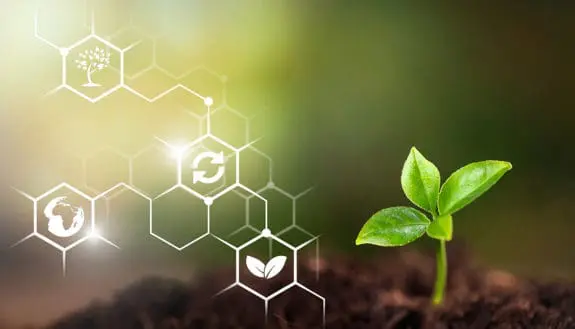 Creating a Sustainable Future