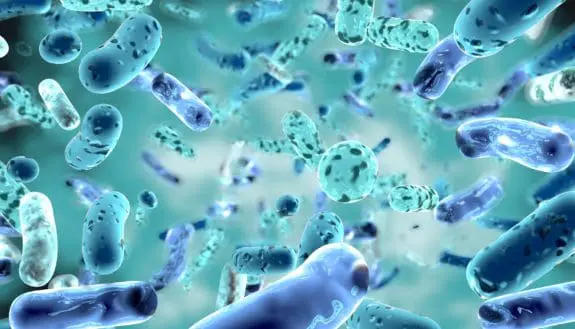 Bionic Bacteria Are Smarter Than You Think