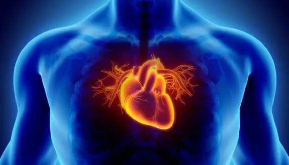 World’s Smallest Heart Pump