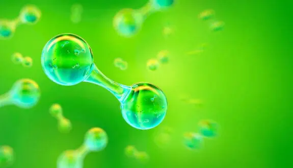 Prof. Grader Nabs French Grant