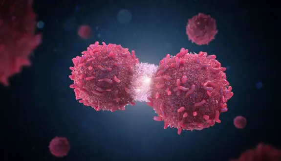 Electric Fields Disrupt Cancer Cell Division