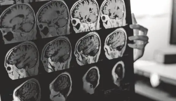 Aging Research That Never Grows Old