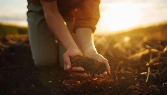 Why Saving Fertilizer Can Help Save the Planet