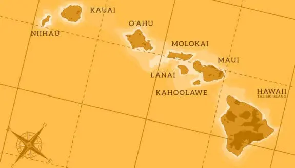 Environmental Impacts of Maui Wildfires