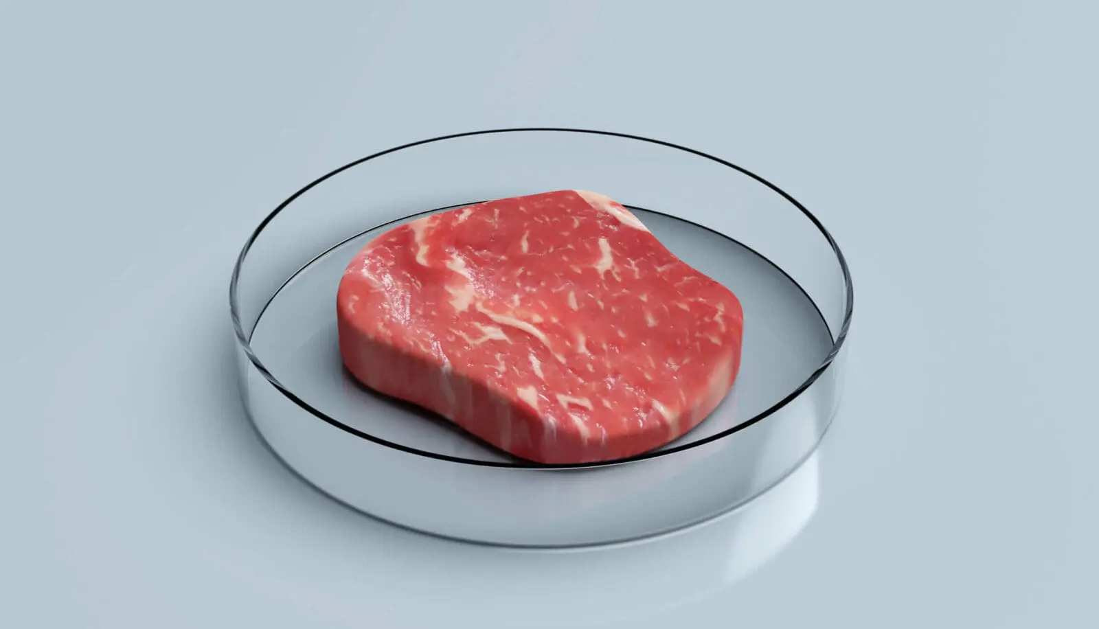 lab grown meat