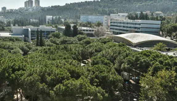 SciTech Sparks A Global Young Innovator