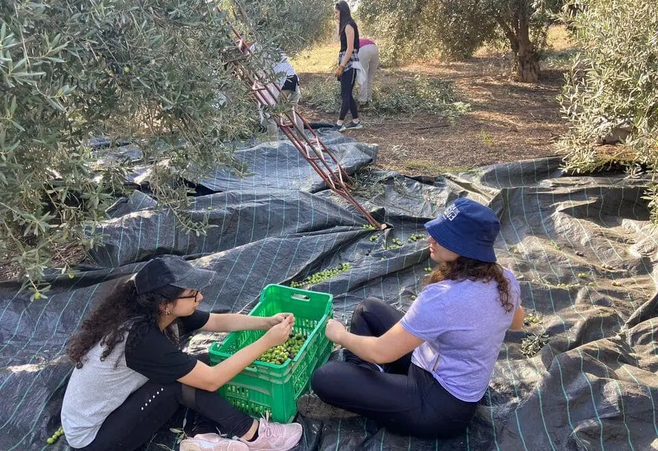 American Technion Society