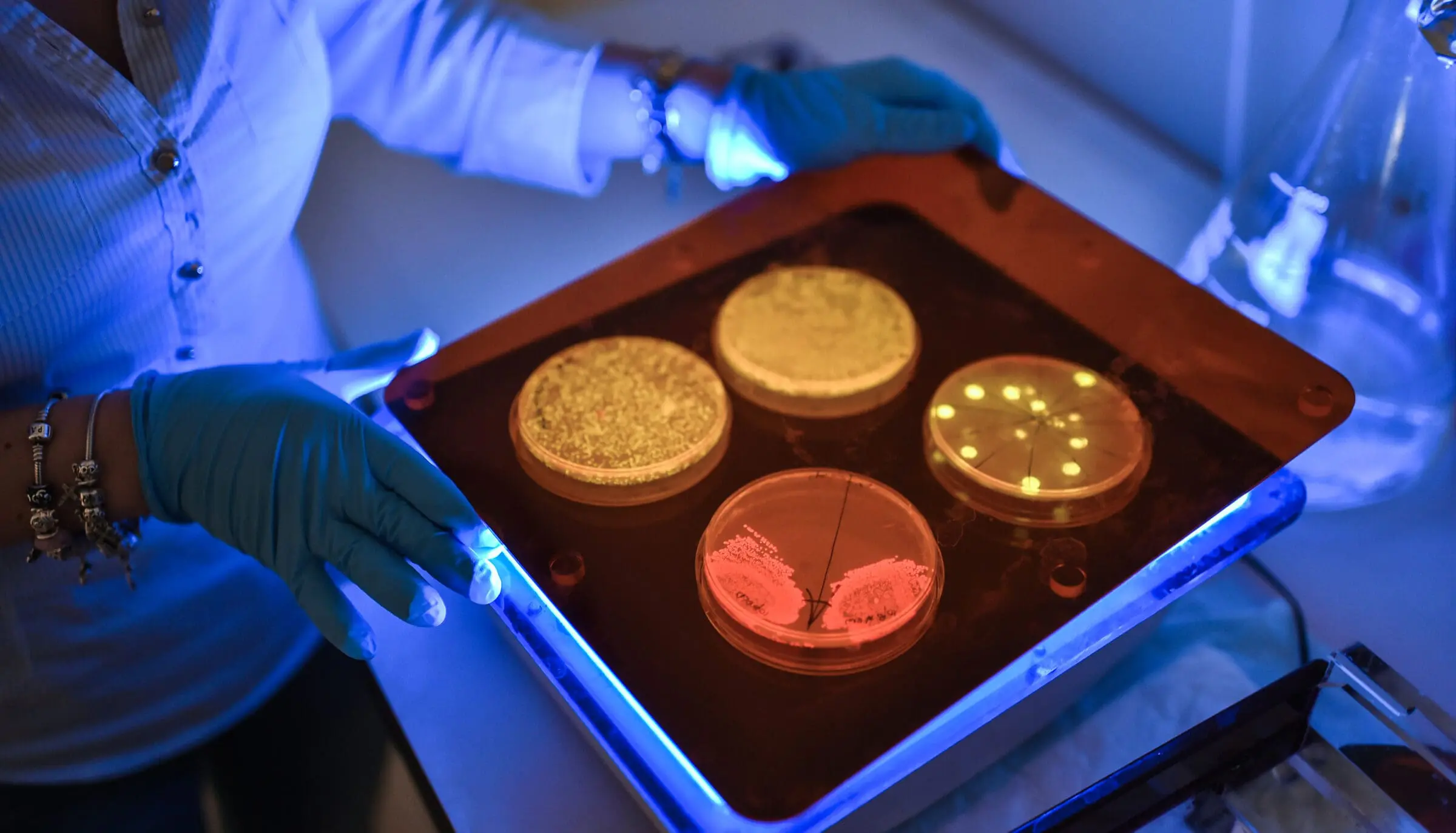 American Technion Society