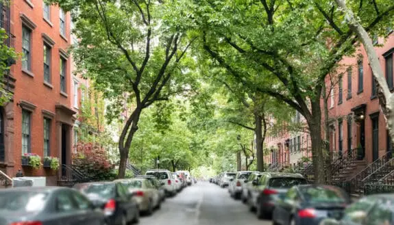 The Cooling Benefits of NYC Street Trees