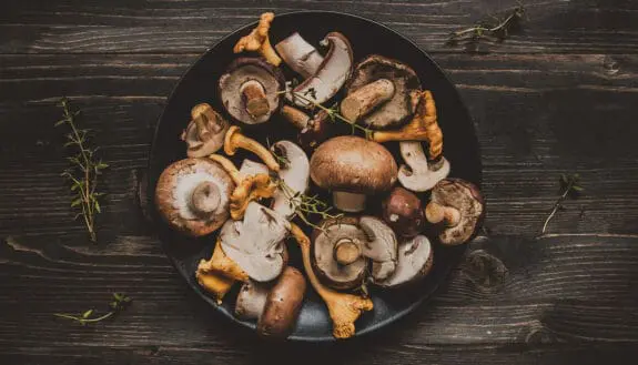 Mushroom Shelf Life, Doubled