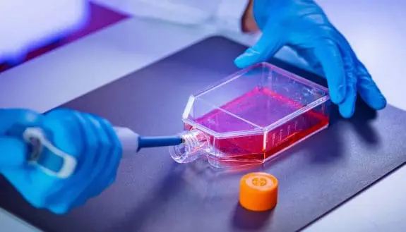 Growing Bone From Your Own Tissue