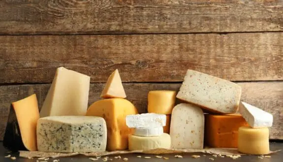 “Literally Identical” Cow-Free Cheese Protein