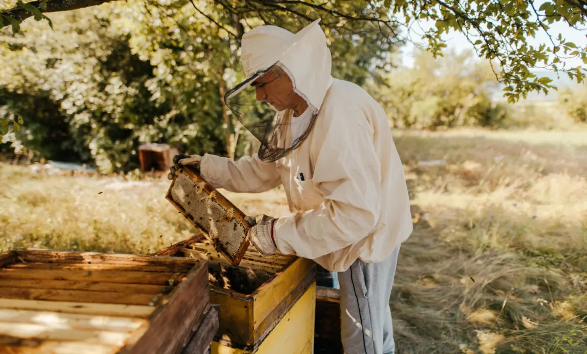 A Sweet New Year, Powered by Innovation