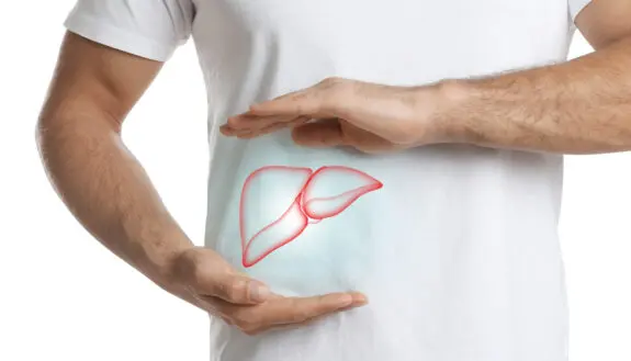 Animals Revolutionize Future of Organ Transplants