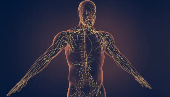 Groundbreaking New Tests Reveal Immune System Health