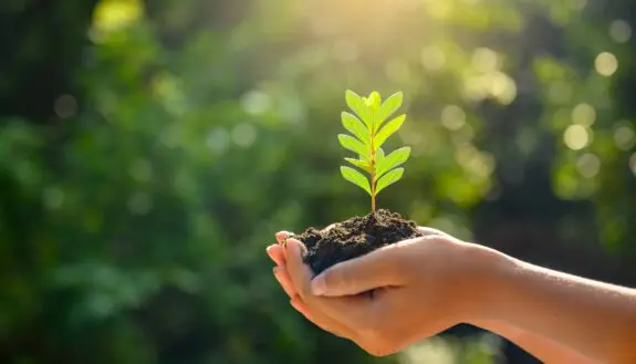 Technion Researchers 3D Print Tree Shelters