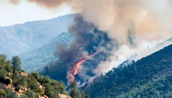 Maps Offer Neighborhood-Level Insight Into American Migration