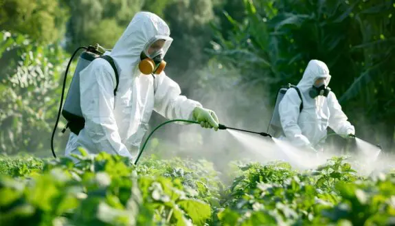Technion Scientists Create Method to Reduce Pesticide Use 50%