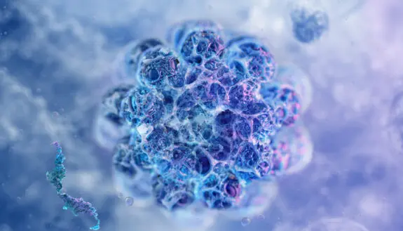 Teaching AI to Read the Language of Proteins