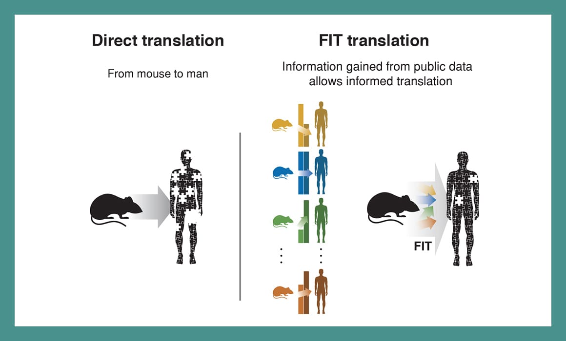 Illustration of how an algorithm could speed up the development of new medical therapies with data | Donate to Support the Technion University | How to Donate to Support Israel