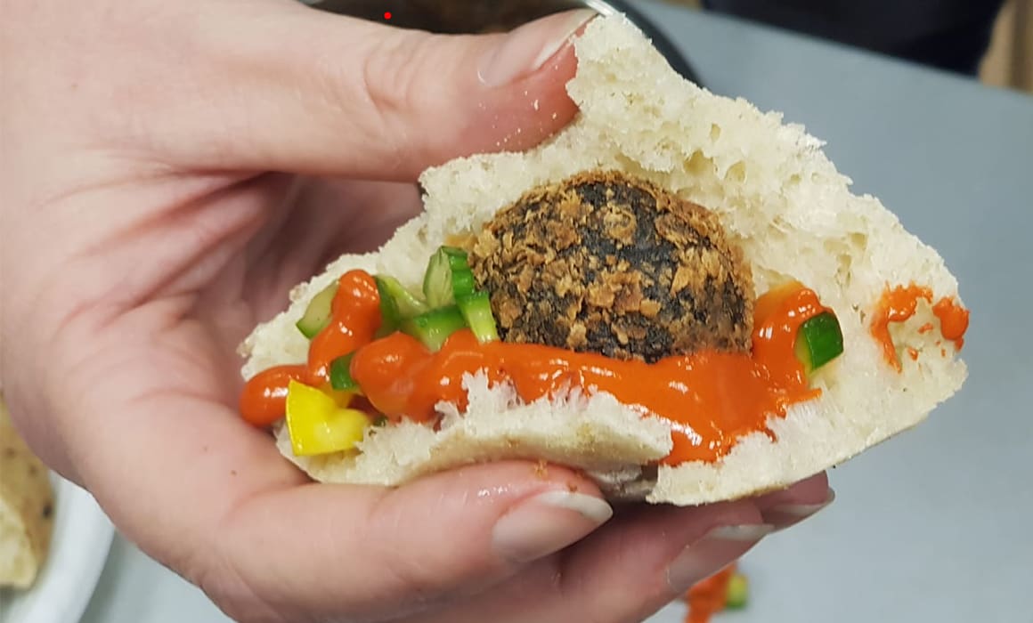 A hand holding a falafel made out of algae for new protein source | Donate to Support the Technion University | How to Donate to Support Israel