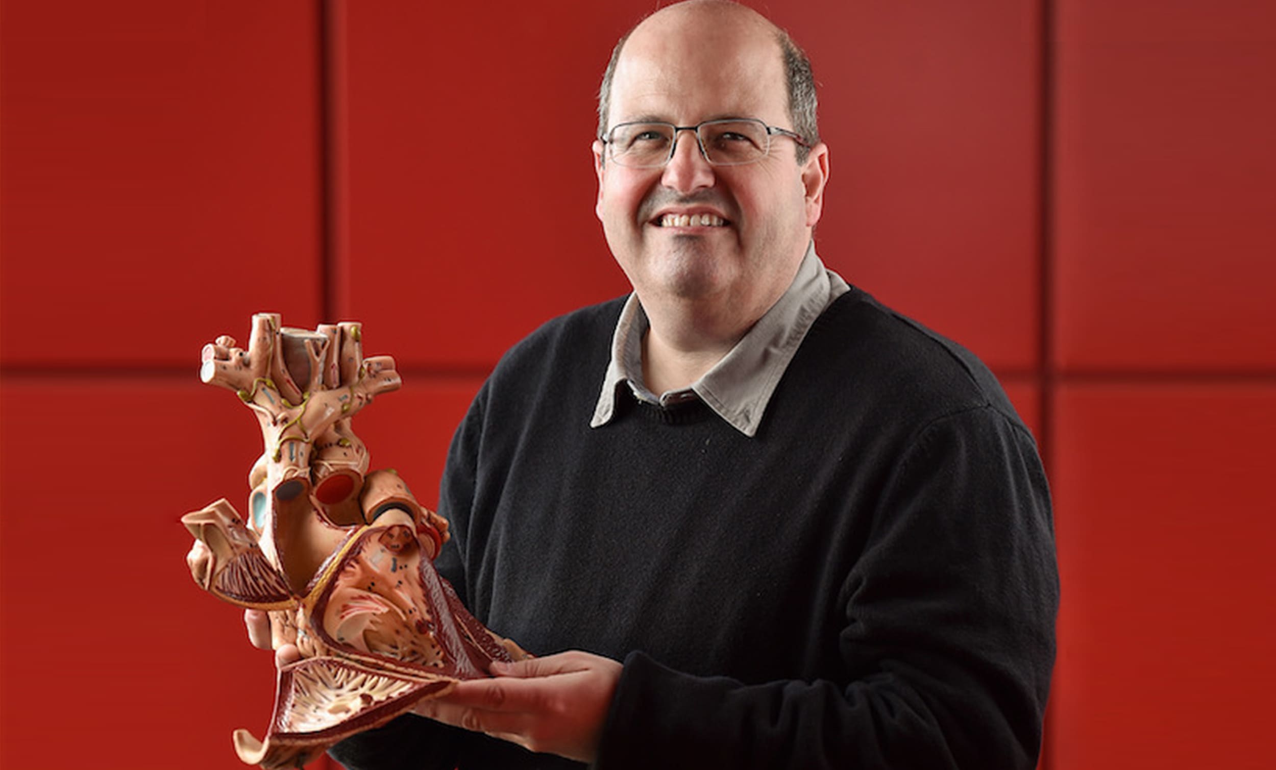 Professor Lior Gepstein with a model of a heart to research arrhythmias | Donate to Support the Technion University | How to Support the American Technion Society