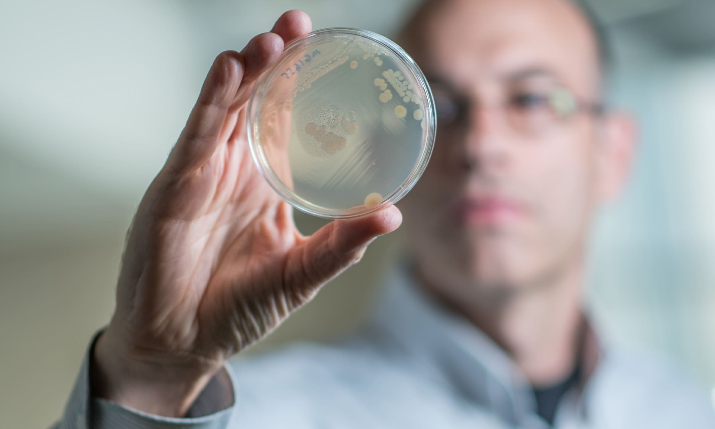 Technion Professor Roy Kishony looking at a petri dish | American Technion Society | How to Support Israel | Donate to Technion University