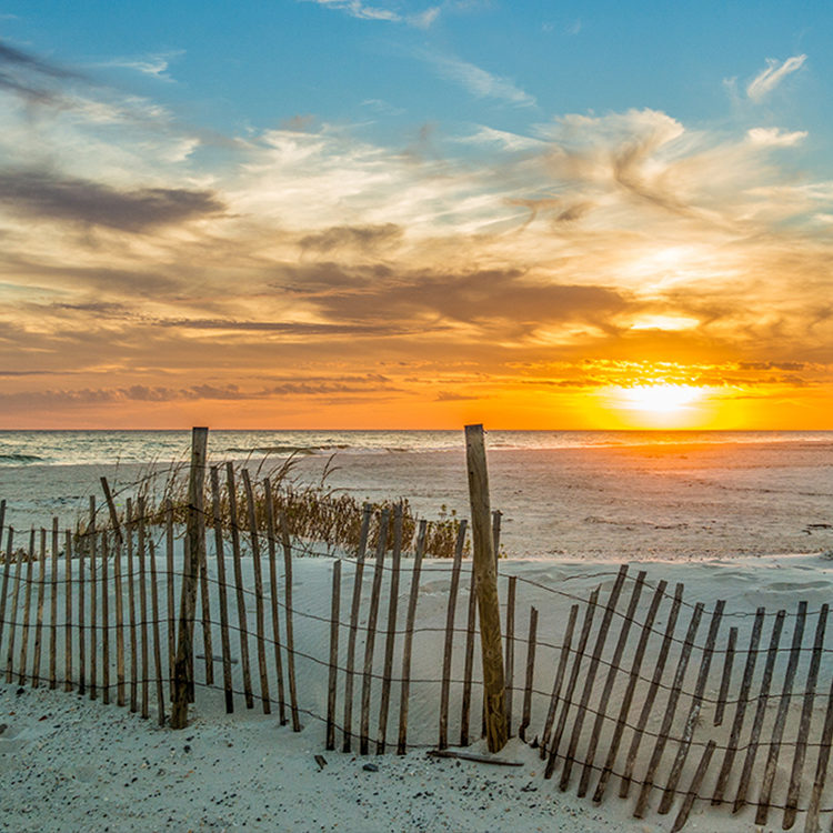 Beach dune scene at sunset.