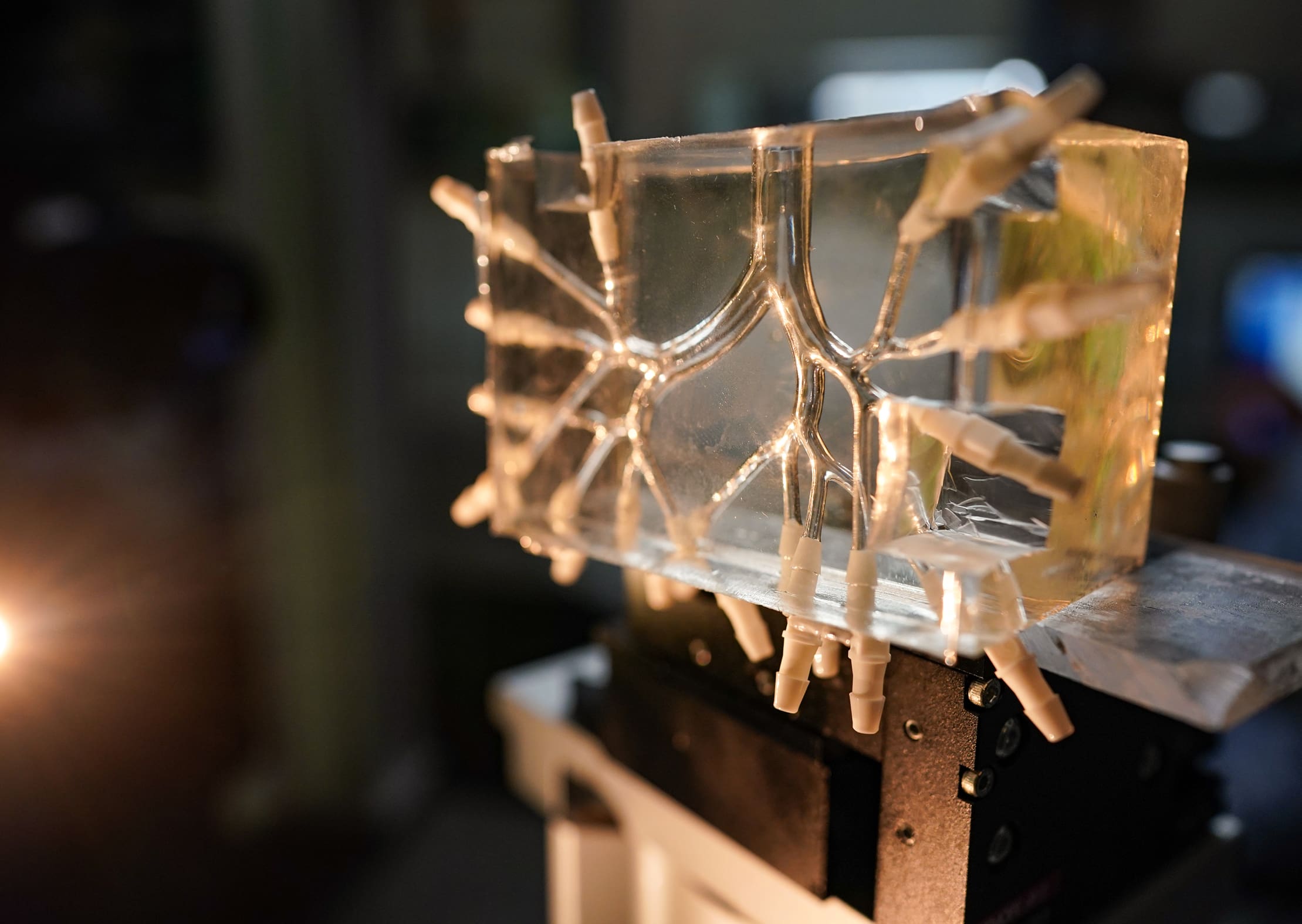 model for innovative pulmonary treatment for treating Acute Respiratory Distress Syndrome (ARDS) | Donate to Support Israel | Technion University