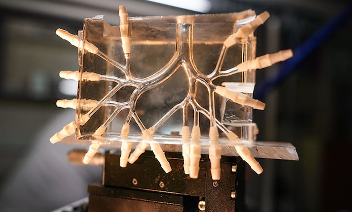 Close-up of a new technology that helps premature infants breathe | Donate to Support the Technion University | How to Donate to Israel