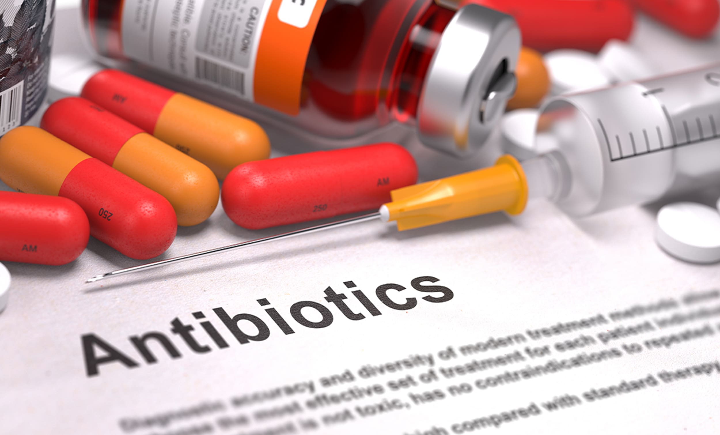 antibiotic resistance on antibiotic paper | Donate to Support the Technion University | American Technion Society