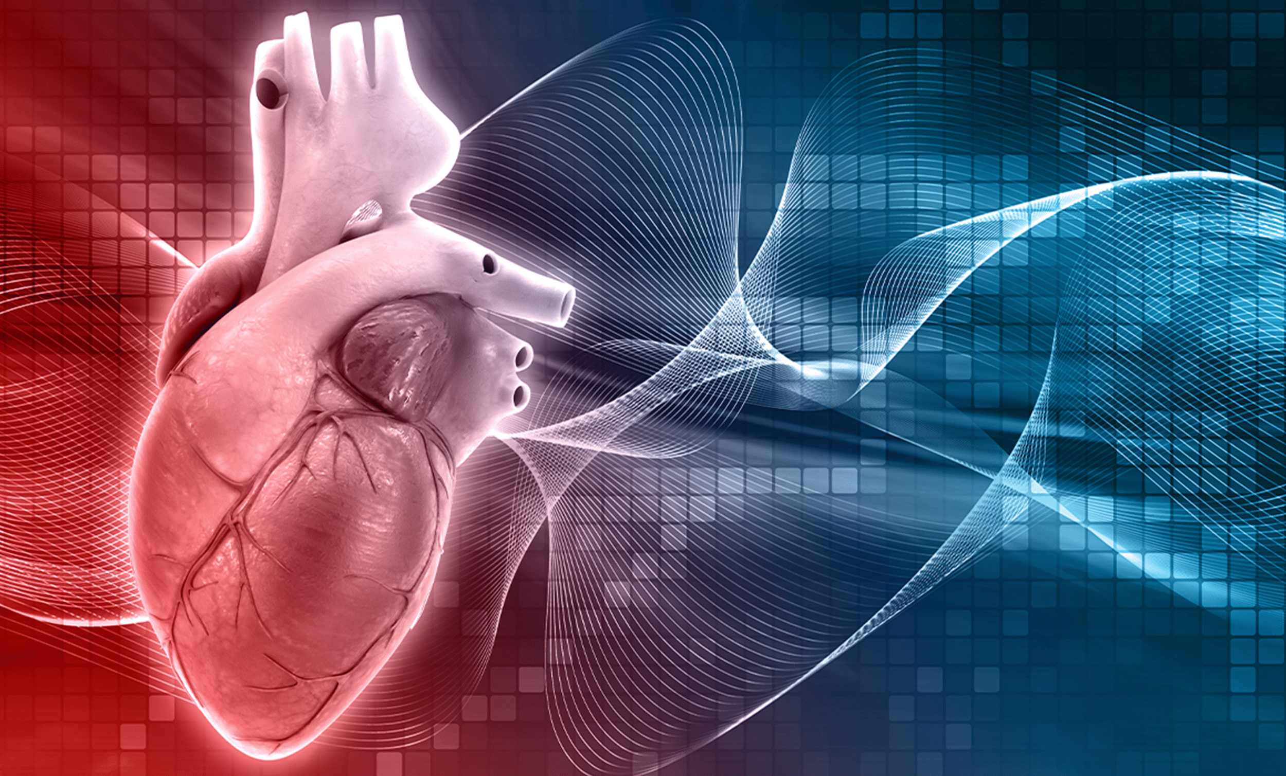 heart disease cancer graphic in red and blue | Donate to Support Israel | Technion University