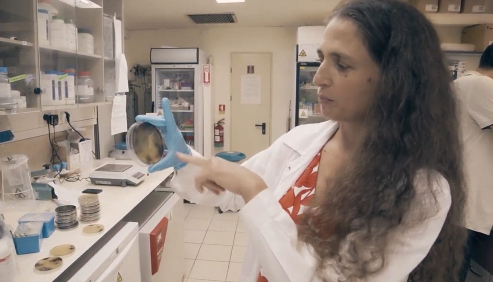 Prof. Na'ama Geva-Zatorsky in a lab | Donate to Support Israel | American Technion Society