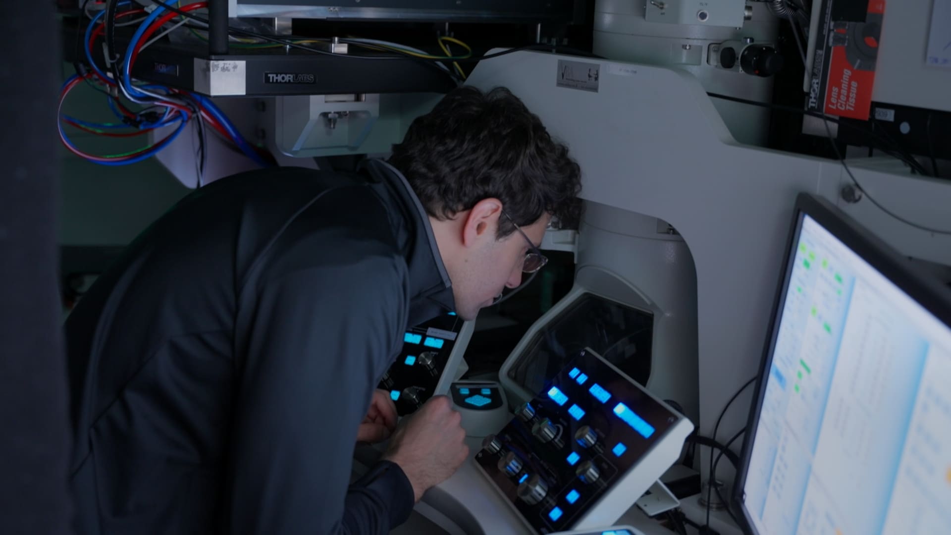 lab