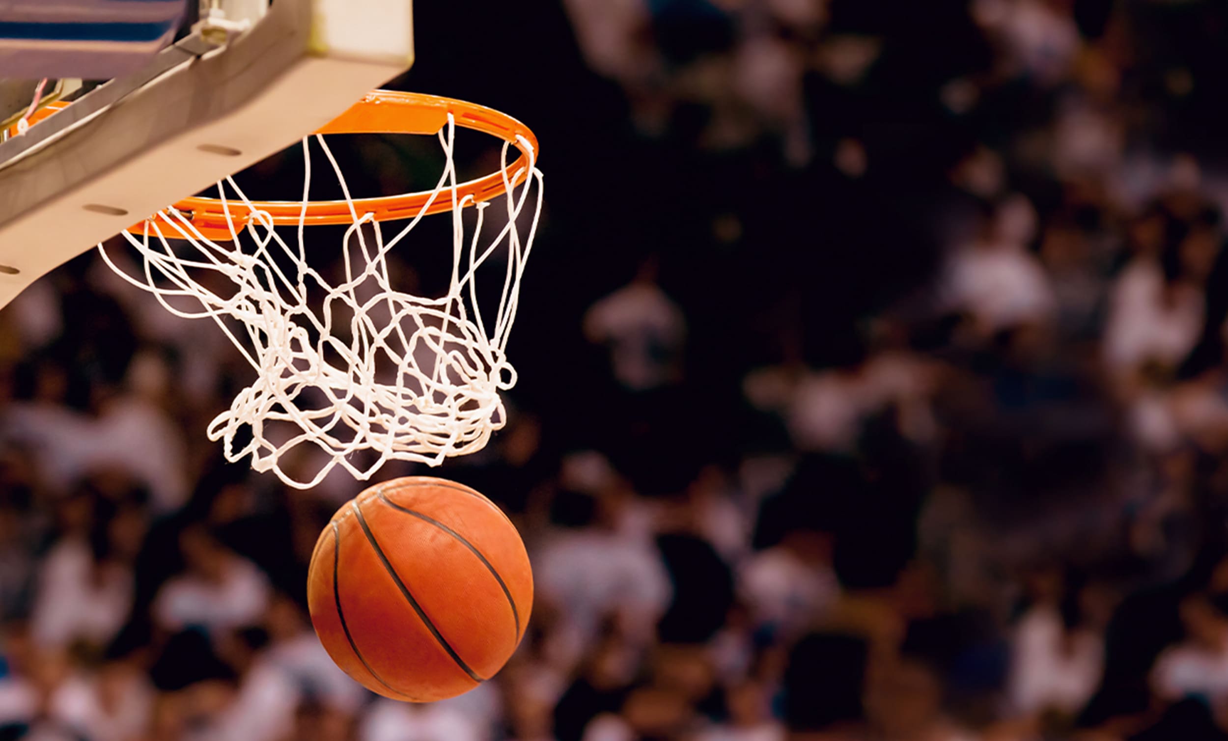 basketball going through a hoop with fans in the background | Donate to Support Israel | Technion University