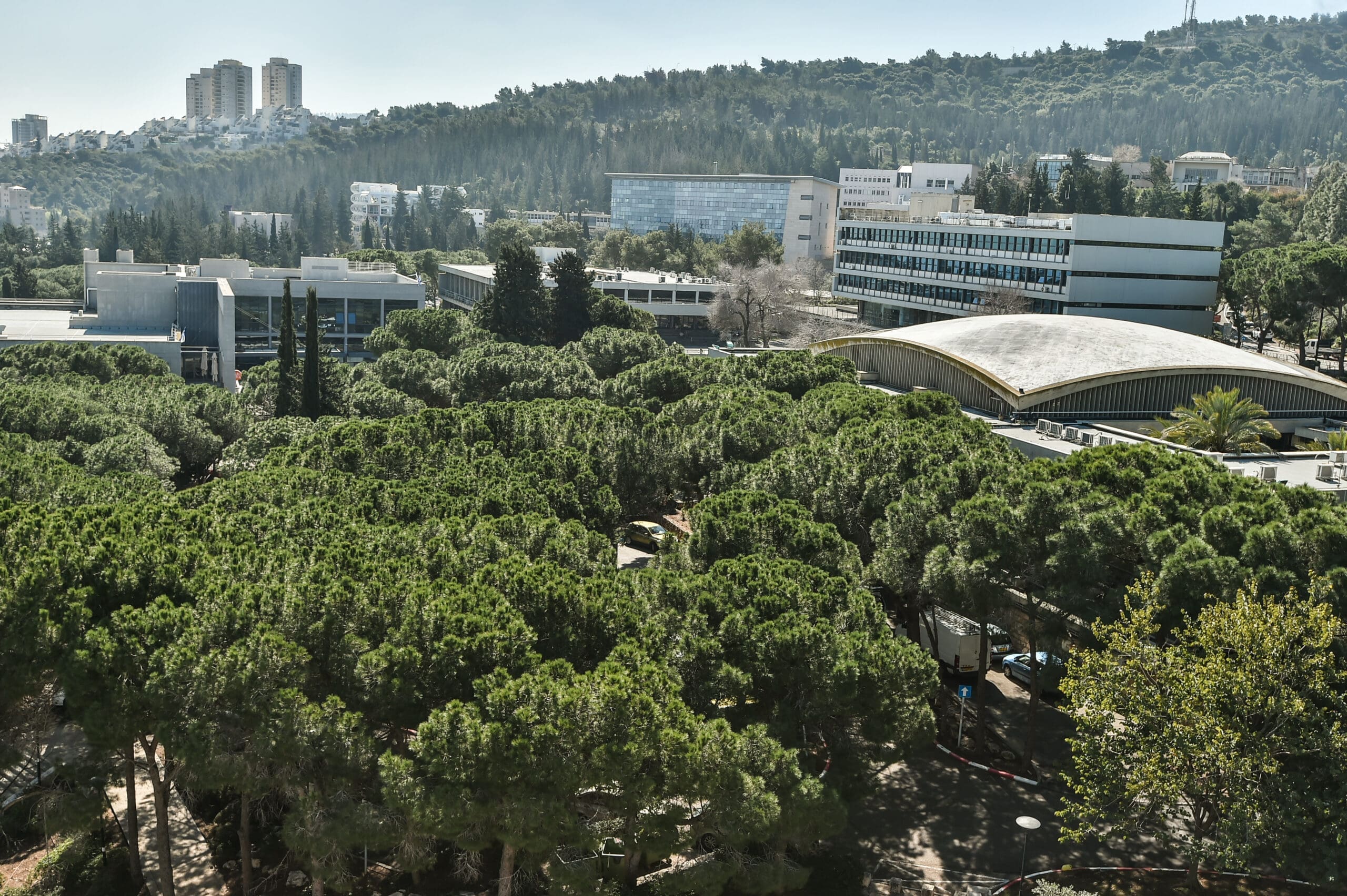 technion israel institute of technology campus in haifa israel, home of the scitech program, with treetops | Donate to Support Israel | Technion University